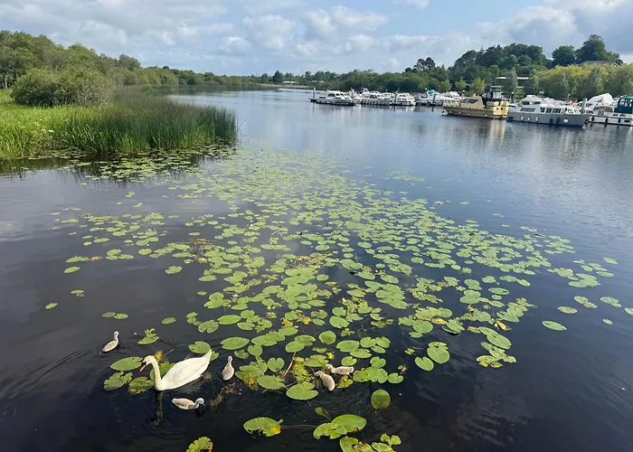Scenic River Shannon Three Bedroom House Dom wakacyjny Carrick on Shannon